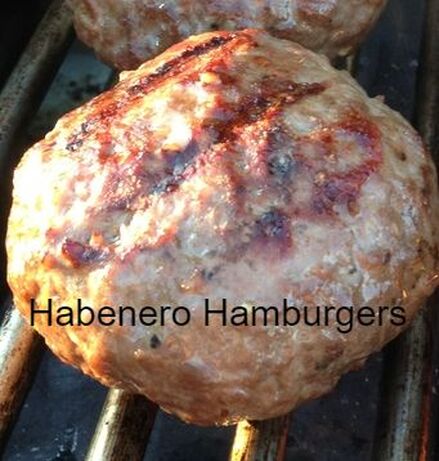 Hot Habenero Hamburgers Venison Dip Mix